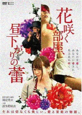 电视剧2026最新热播剧长夜有灯海报